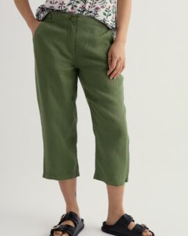 SEASALT BRAWN POINT CROPS - DRIED BASIL